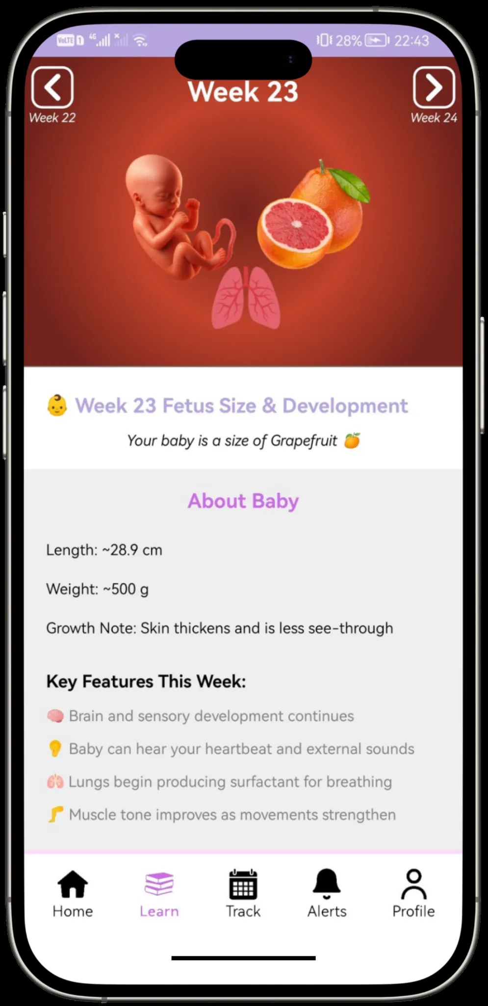 Ovulae Screenshot 2